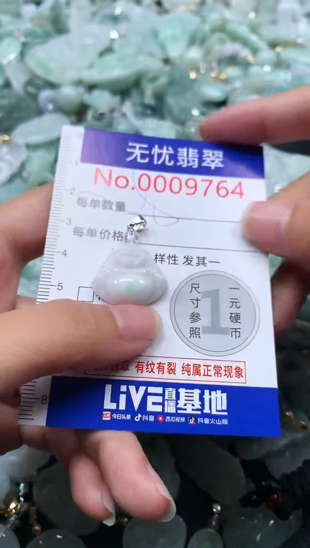 颈饰未镶嵌翡翠9764