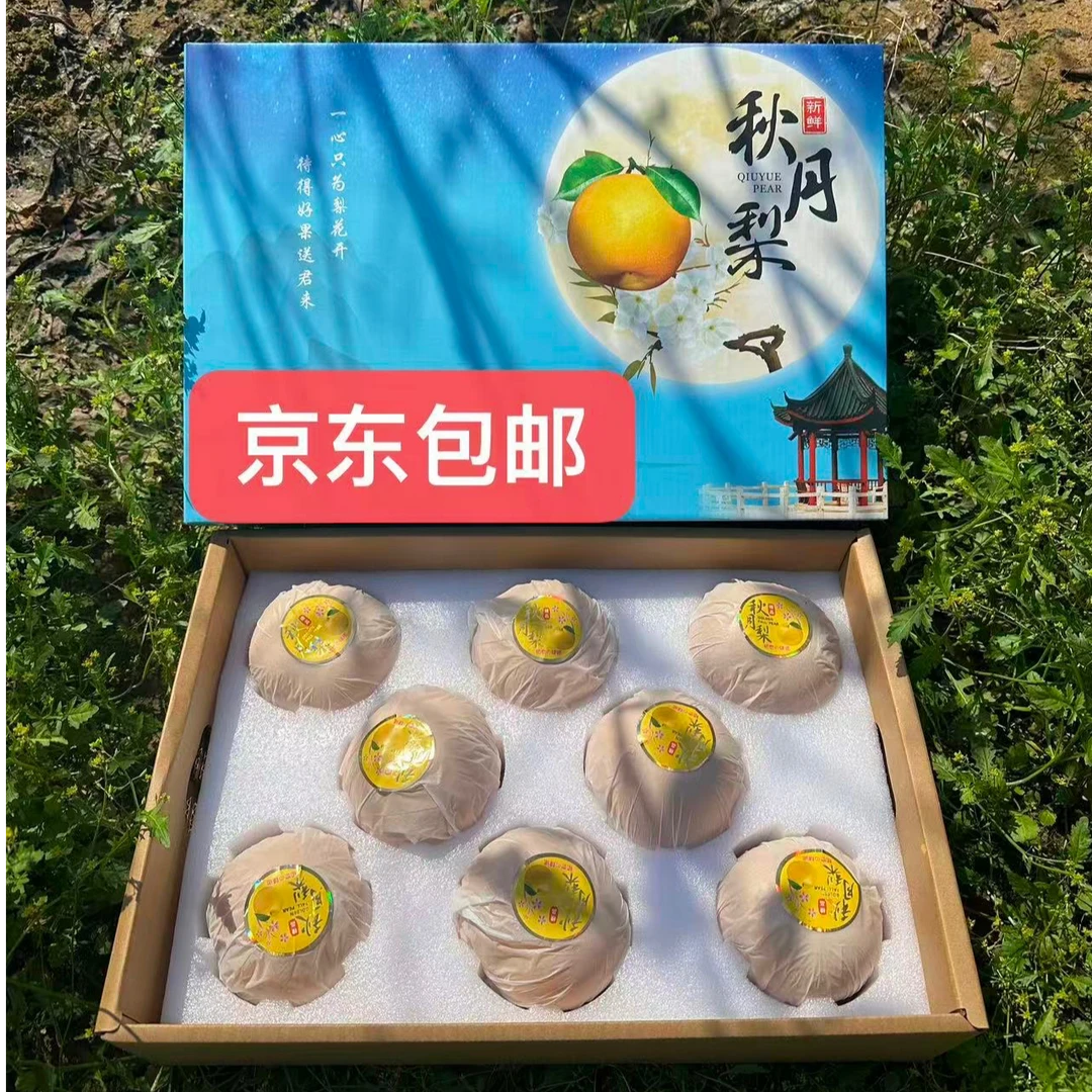 山东正宗秋月梨新鲜现摘 中秋高端礼盒装 京东快递