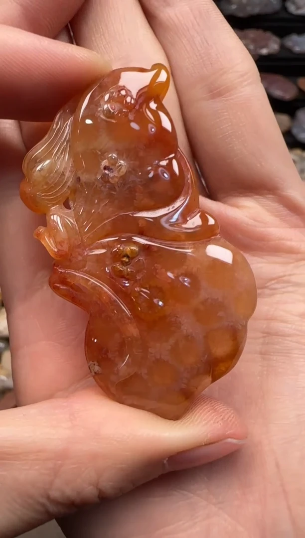 【闪购商品】硅化珊瑚（珊瑚玉）颈饰未镶嵌171