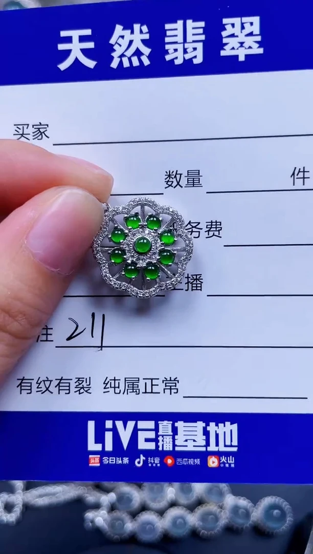 颈饰银S925镶嵌翡翠211