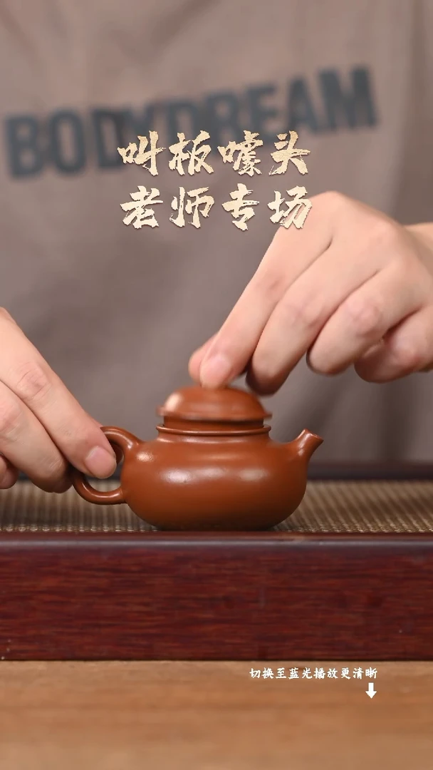 茶壶紫砂EF18067陈小平-容天