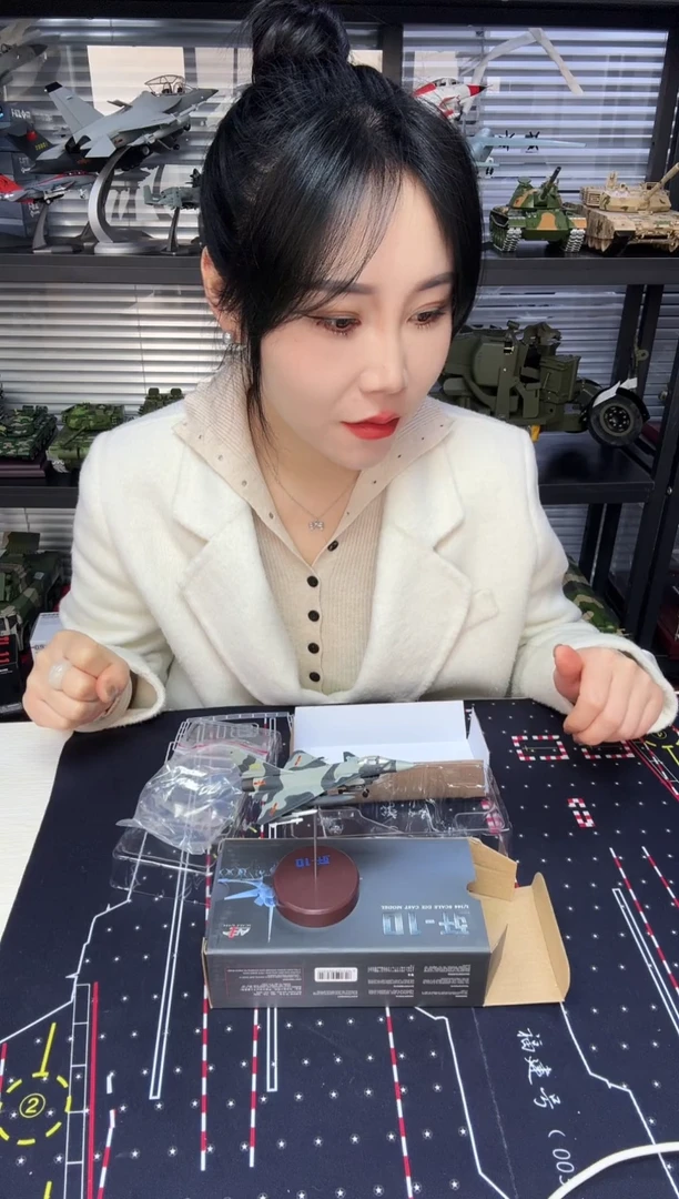 1/144歼10 飞机模型