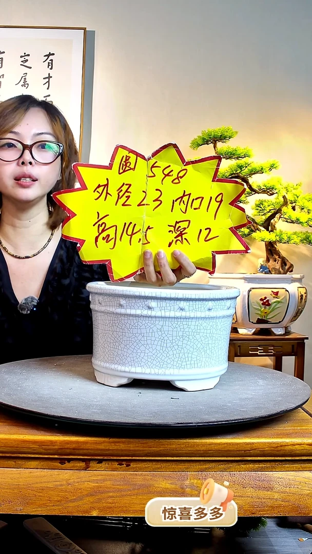 548白色0000000000000000