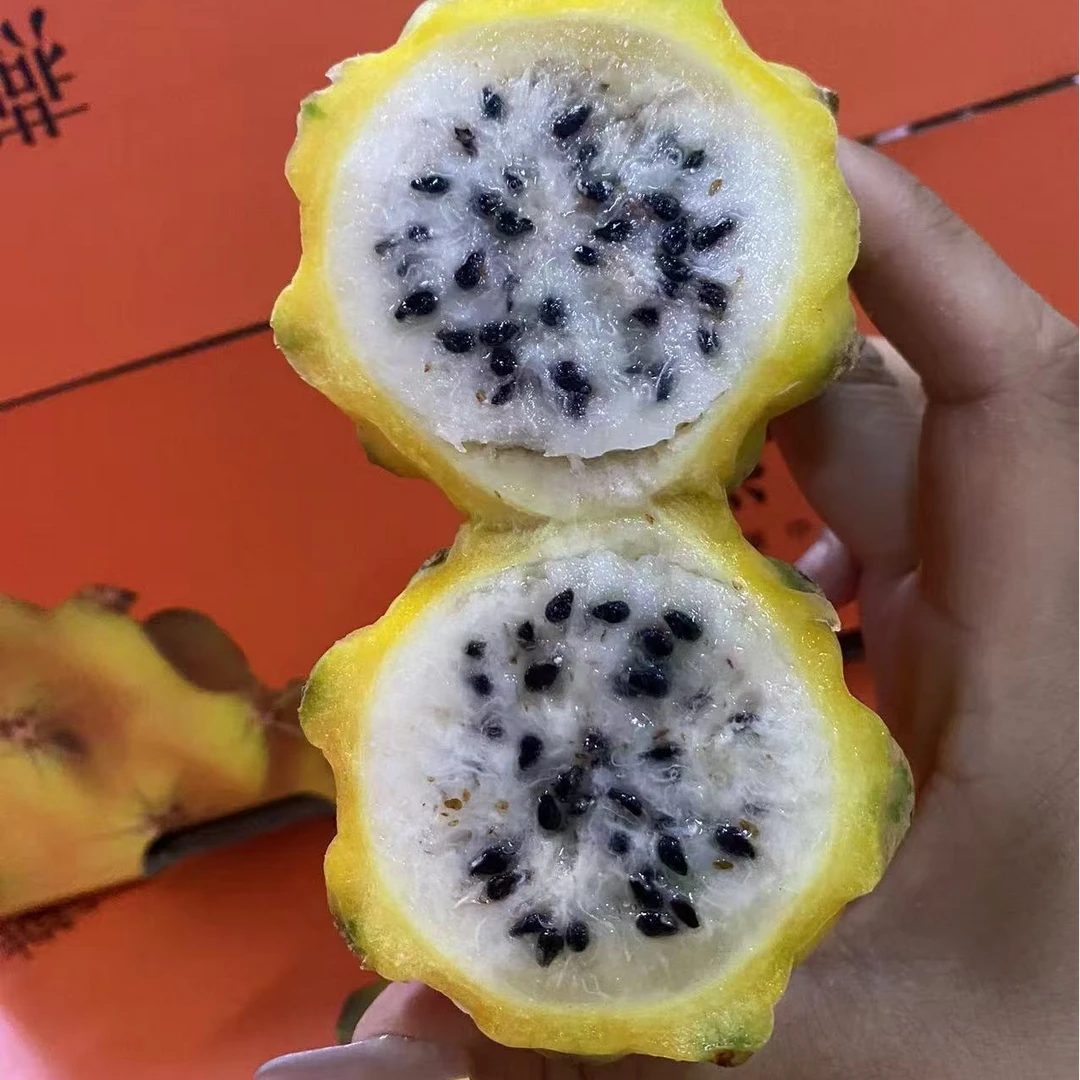 海南燕窝果 盒装净重1400g 8个果（顺丰包邮）