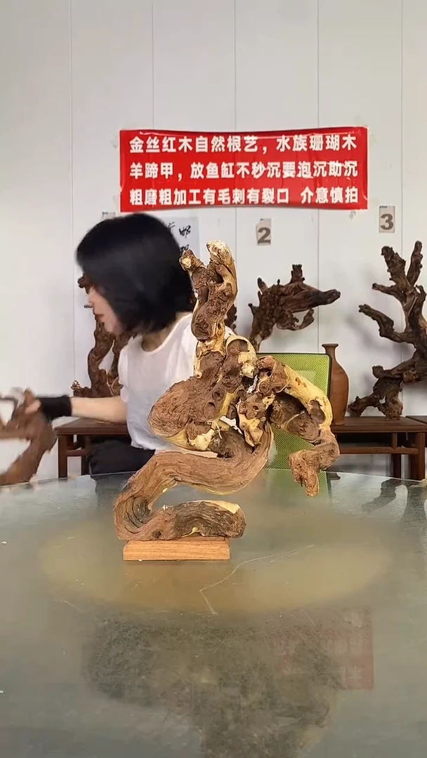 香榧木建**市金丝红木   羊蹄甲
