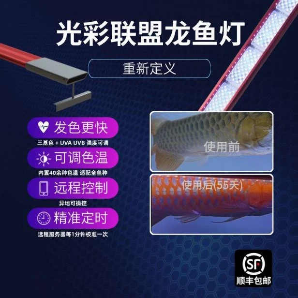 龙族牌光彩联盟智能LED多用途龙鱼发色灯发色吃框铺粉洗底去血痕