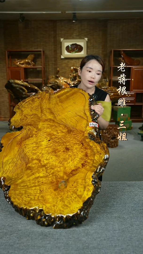 黄金樟101-61-5.5
