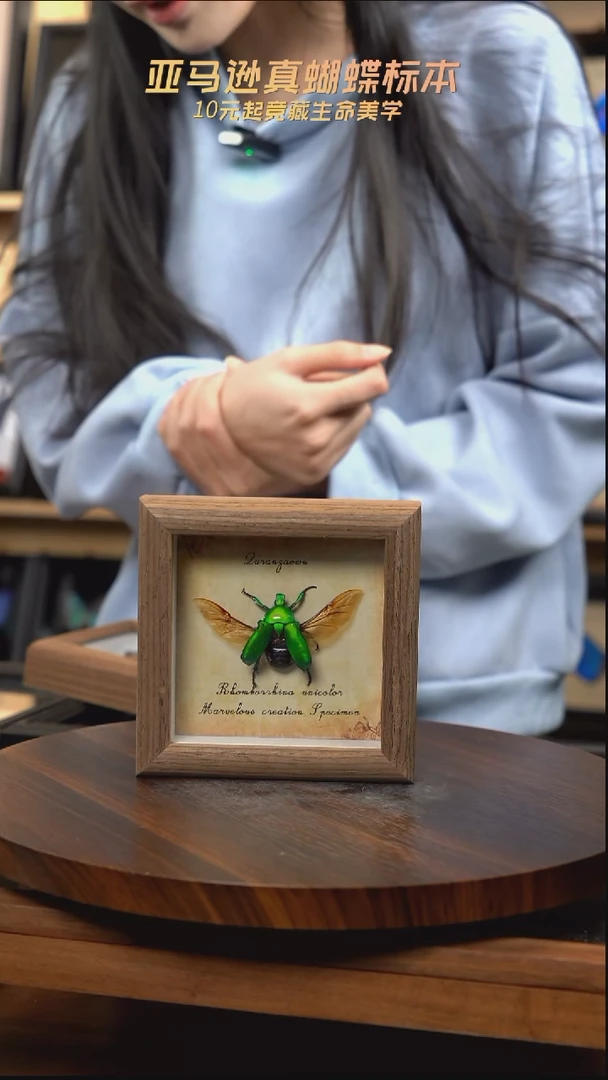 绿萝花金龟展翅复古版4寸木纹方框