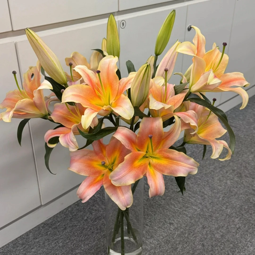 【花王朝甄选】一见钟情百合/元旦预热 任意两单花材升级快递