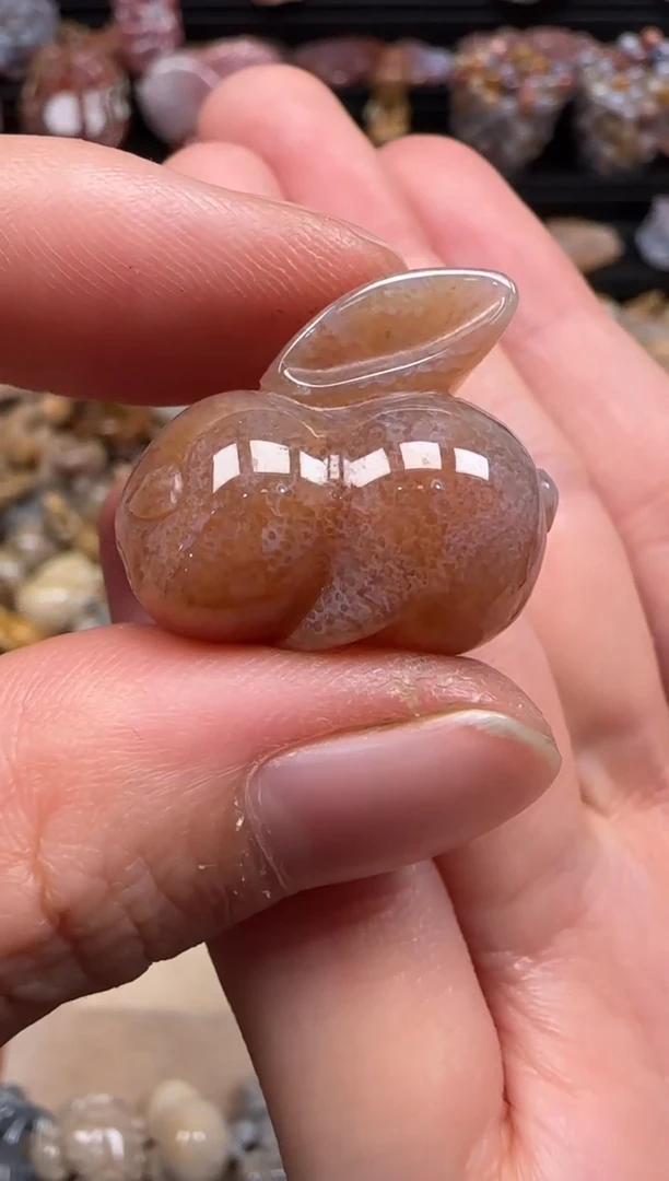 【闪购商品】硅化珊瑚（珊瑚玉）颈饰未镶嵌059