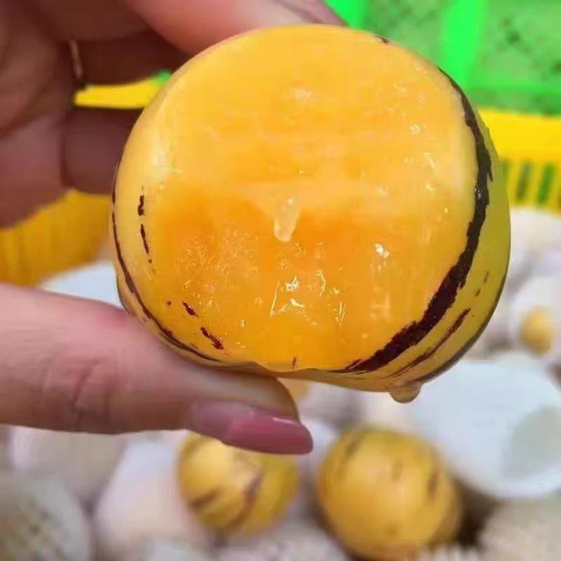 礼盒包装树熟人参果5斤礼盒