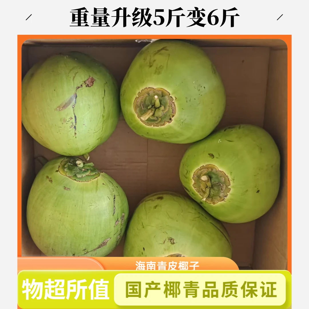【5个装果王】海南新鲜椰青孕妇水果现摘带皮椰子清甜解渴青皮椰