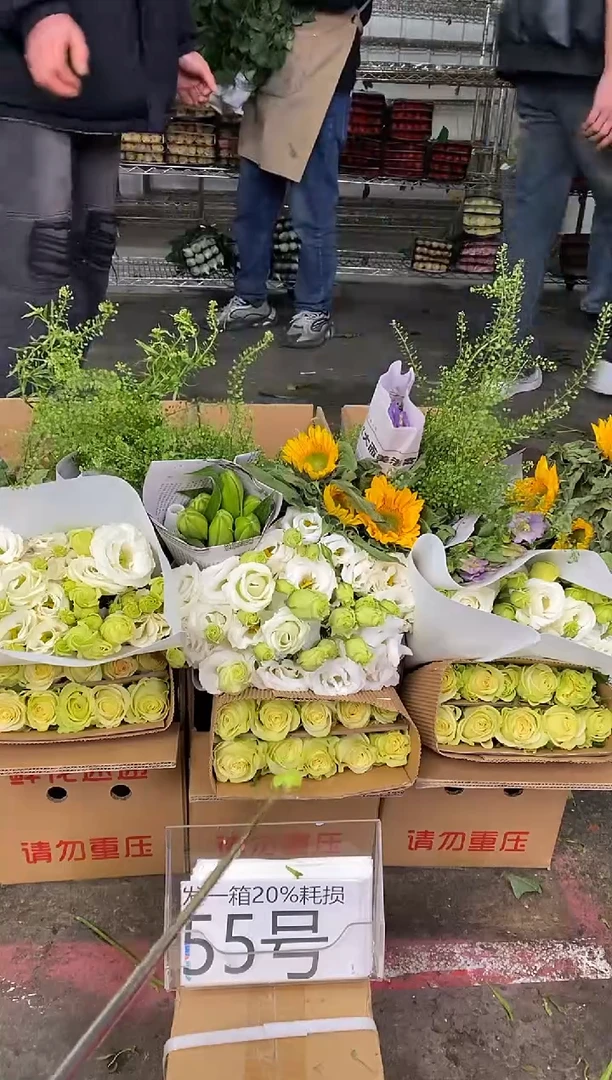 55号♥含20%耗损发一箱