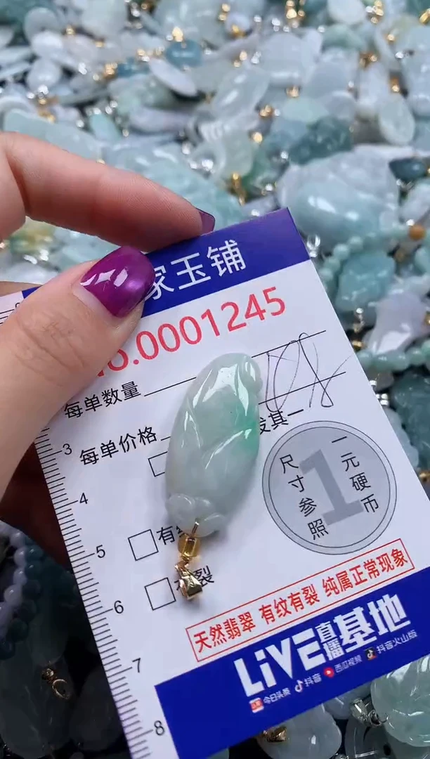 颈饰未镶嵌翡翠1245