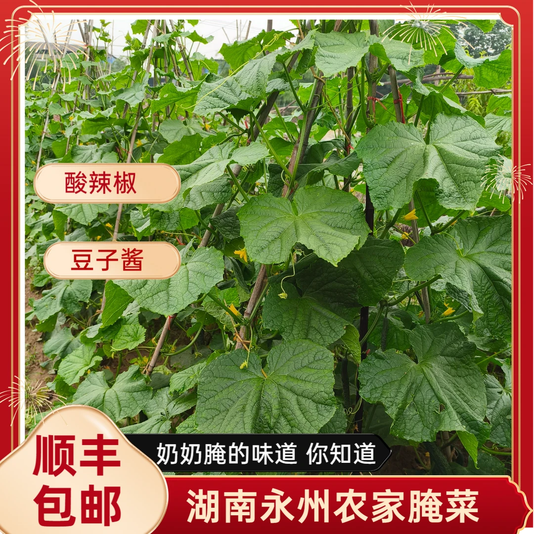 【顺丰包邮】湖南永州南门小菜园农家菜