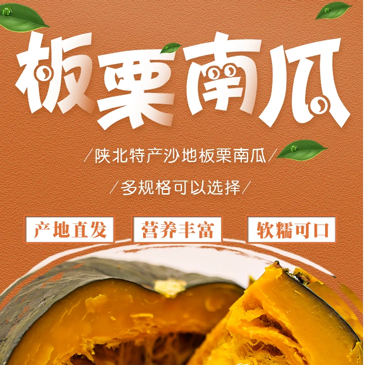 板栗南瓜 陕西优质沙地瓜 粉糯香甜 5斤 / 2—4颗 包邮
