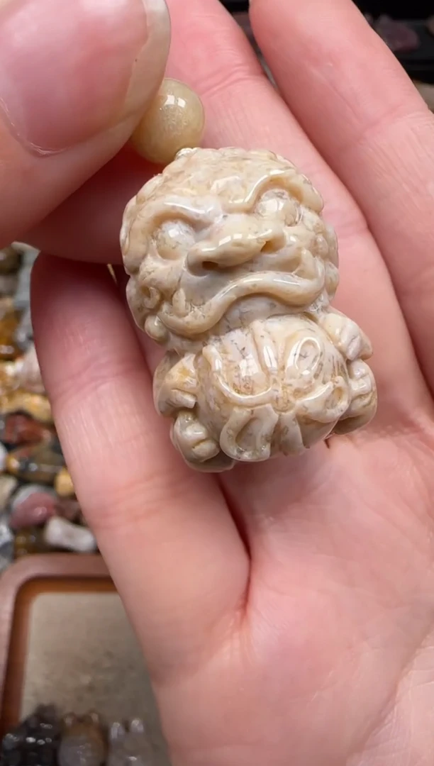 硅化珊瑚（珊瑚玉）未镶嵌颈饰557