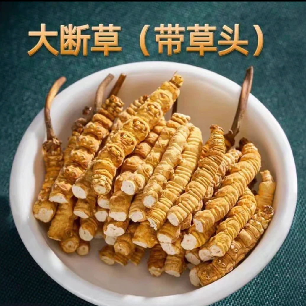 【甄选头期大断草】干草高海拔藏区虫草正宗雪山滋补高性价比自用