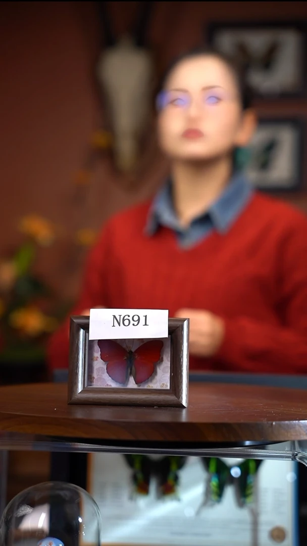 N691血漪蛱蝶木质冰箱贴