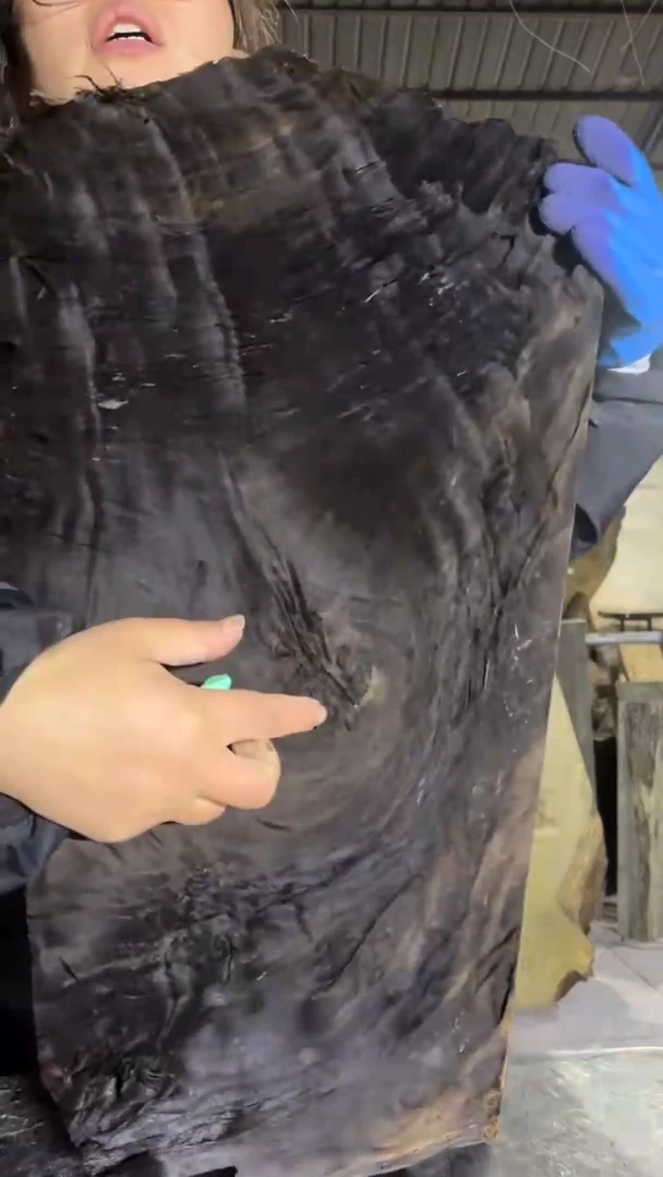 金丝楠9金丝楠小叶桢楠原材料