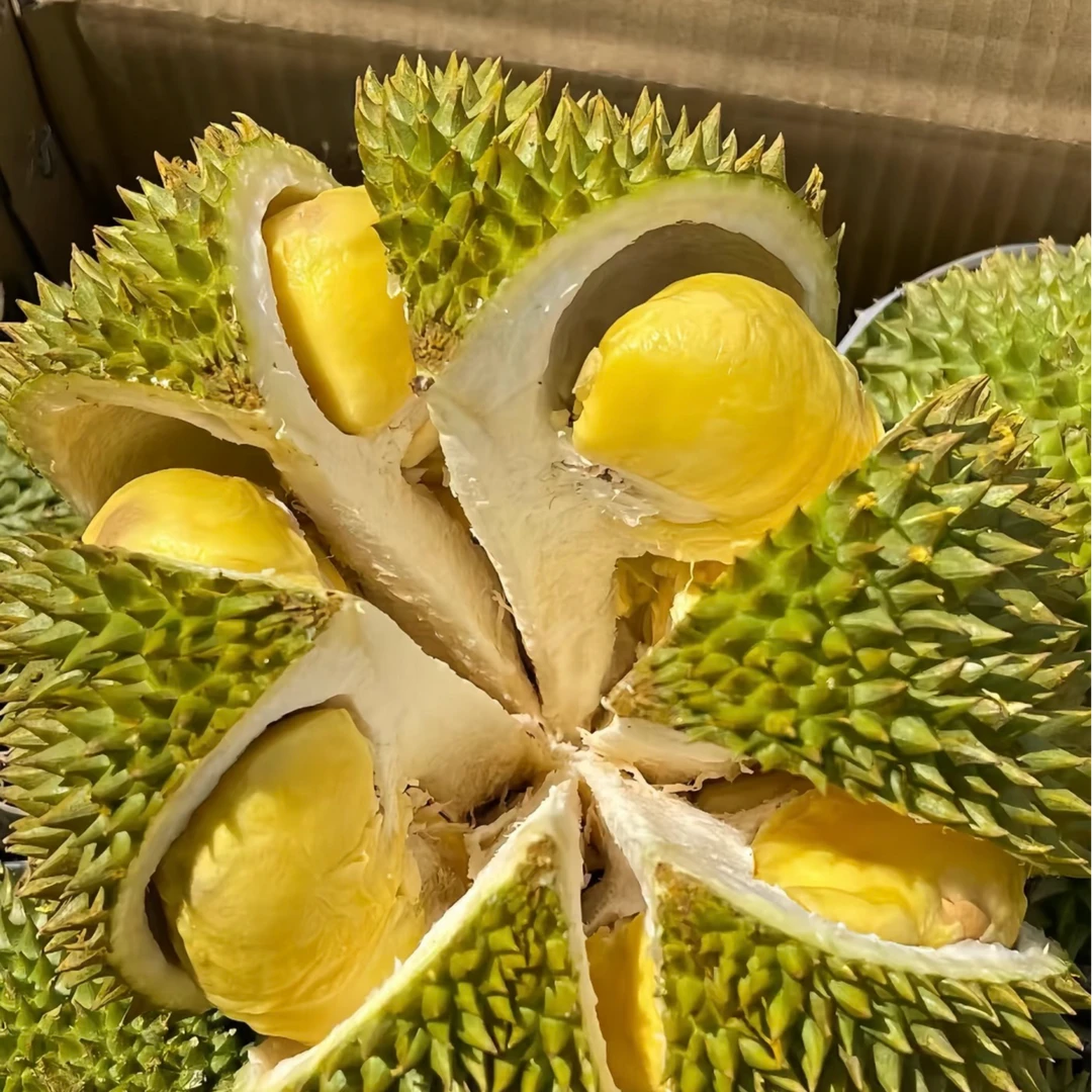 （福利果）新鲜进口泰国金枕榴莲 一物一拍 干包软糯香甜 750g核小 金枕泰国
