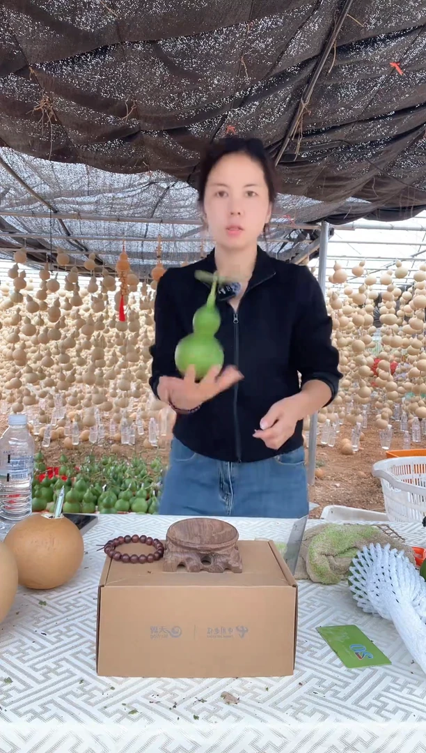 259天然葫芦摆件 一物一拍