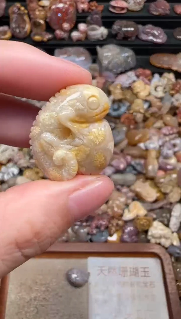 颈饰未镶嵌硅化珊瑚（珊瑚玉）236