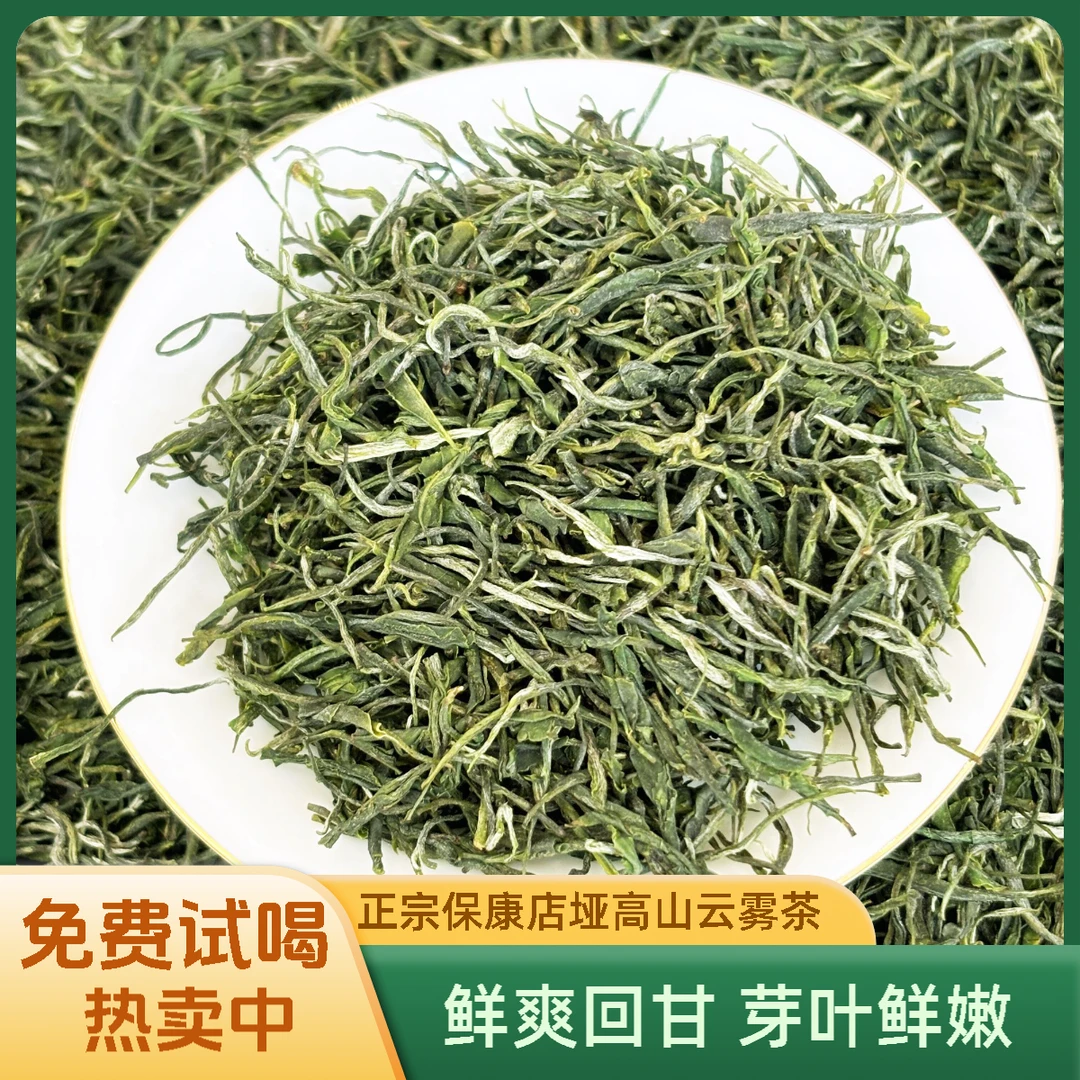 2025保康雨前毛尖一芽一两叶云雾高山茶保康绿茶新茶鲜爽回甘耐泡