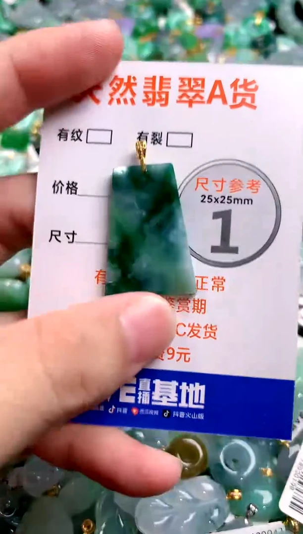 颈饰未镶嵌翡翠25101151