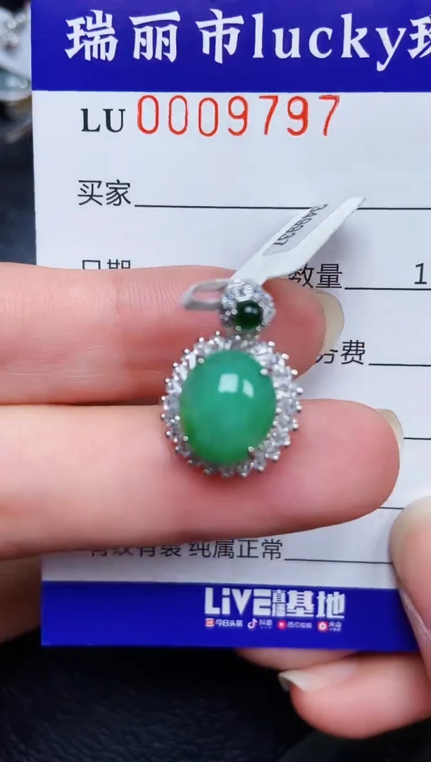 翡翠银S925镶嵌颈饰9797
