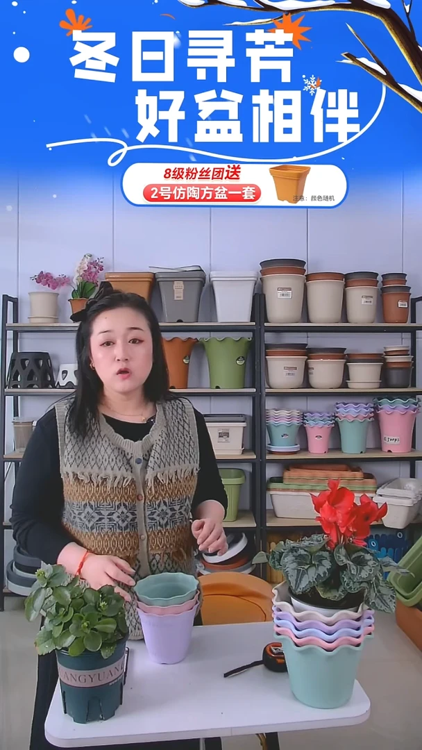 罗马盆3号盆5套带托盘