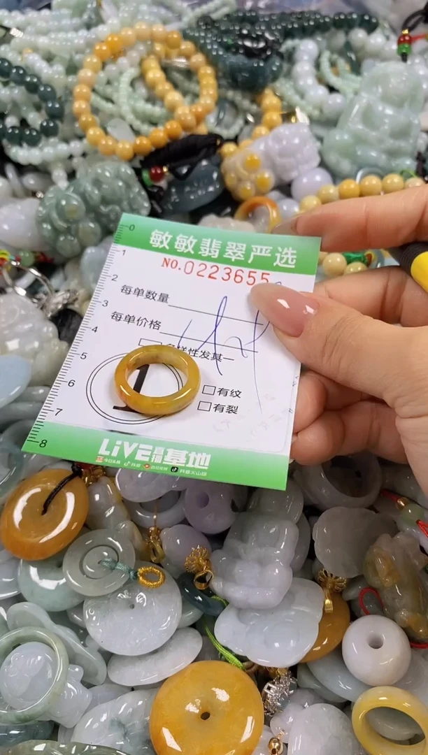 翡翠未镶嵌颈饰闪购0223655