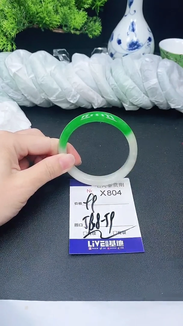 未镶嵌手镯翡翠804
