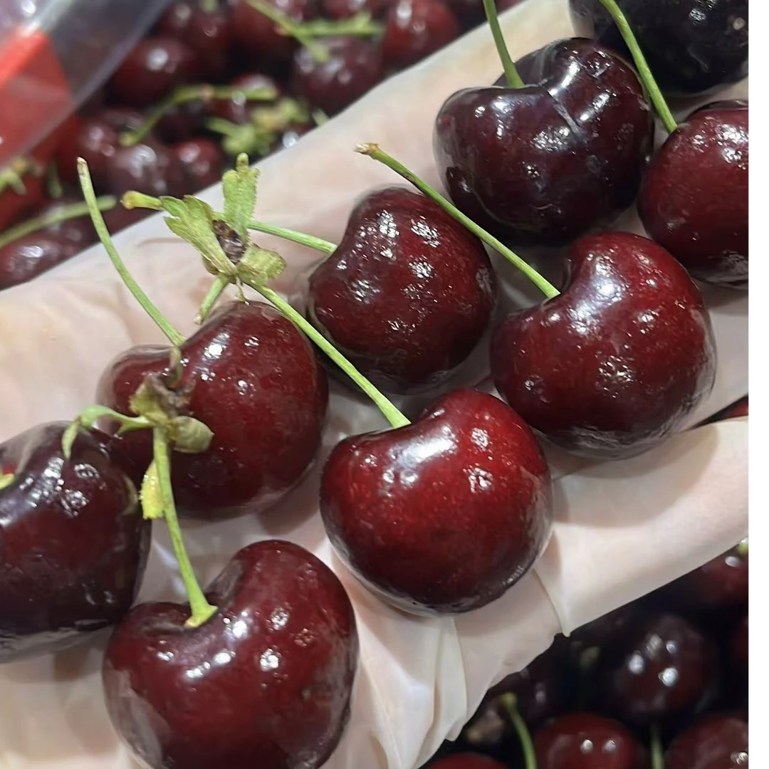 化州市区送货 空运【车厘子3JD】净果半斤(内有果经卡)桑提娜智利