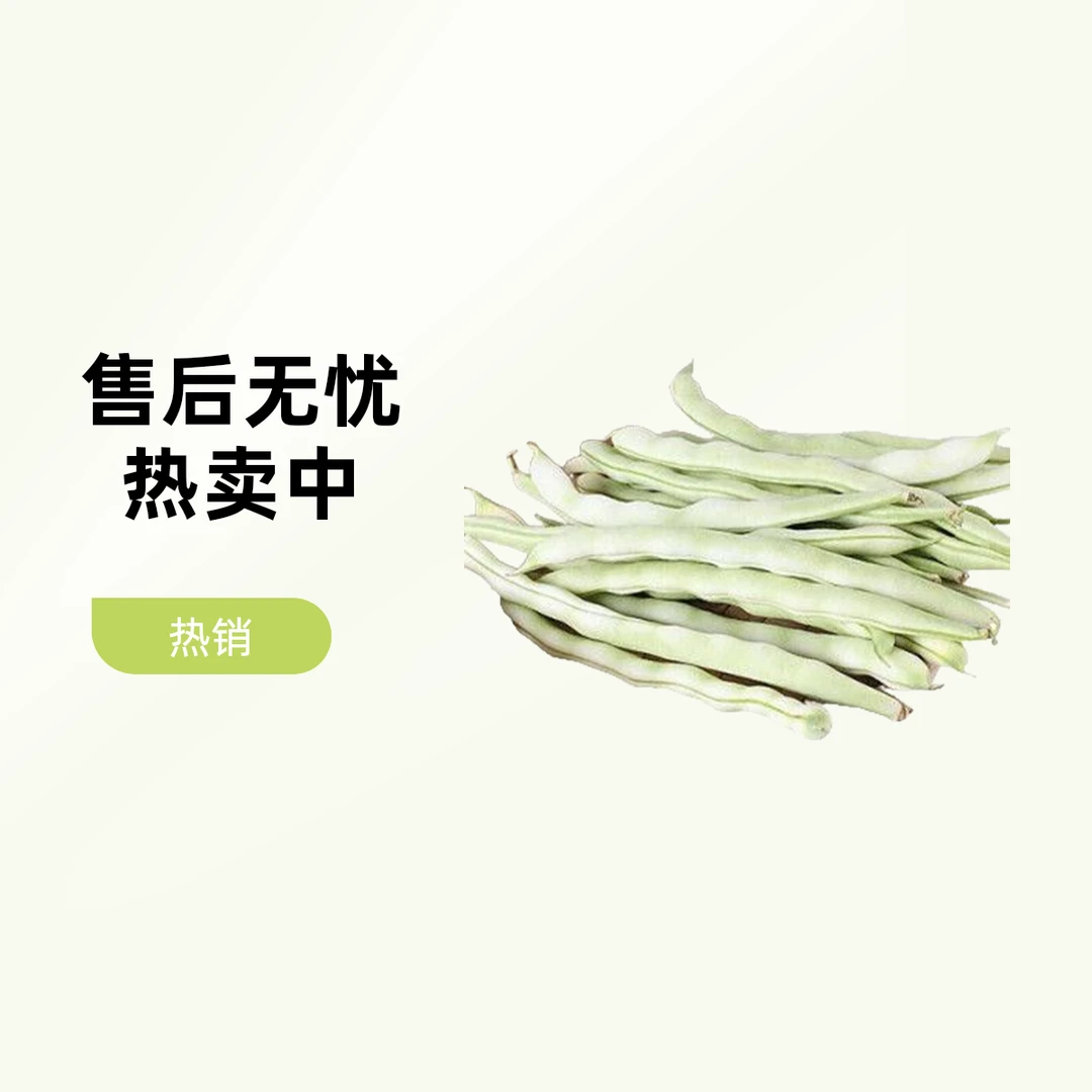 白芸豆（约250-280克）