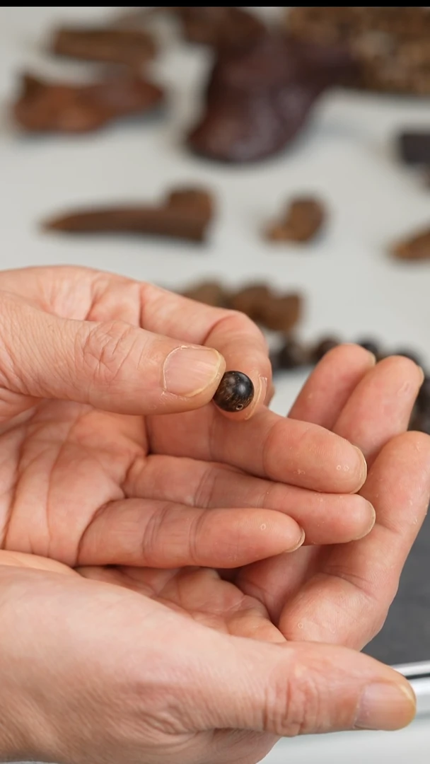 沉香沉香碎屑加雅布拉沉水10.3mm单珠