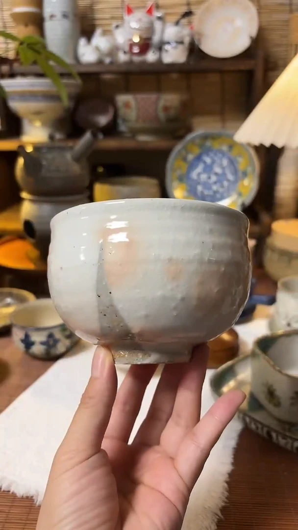 瓷片喵喵家都是大漂亮