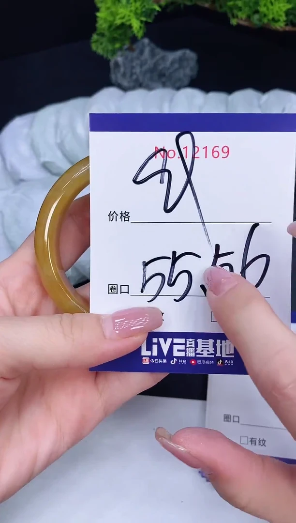 未镶嵌手镯翡翠12169