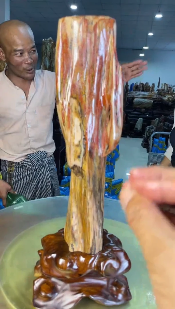 未镶嵌摆件硅化玉19