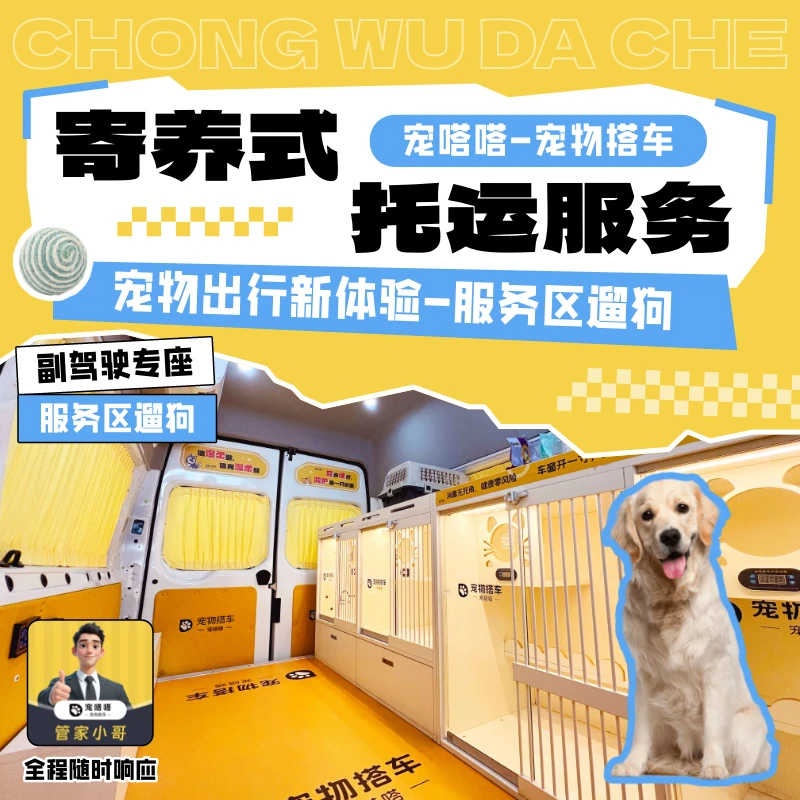 宠物保姆式上门托运