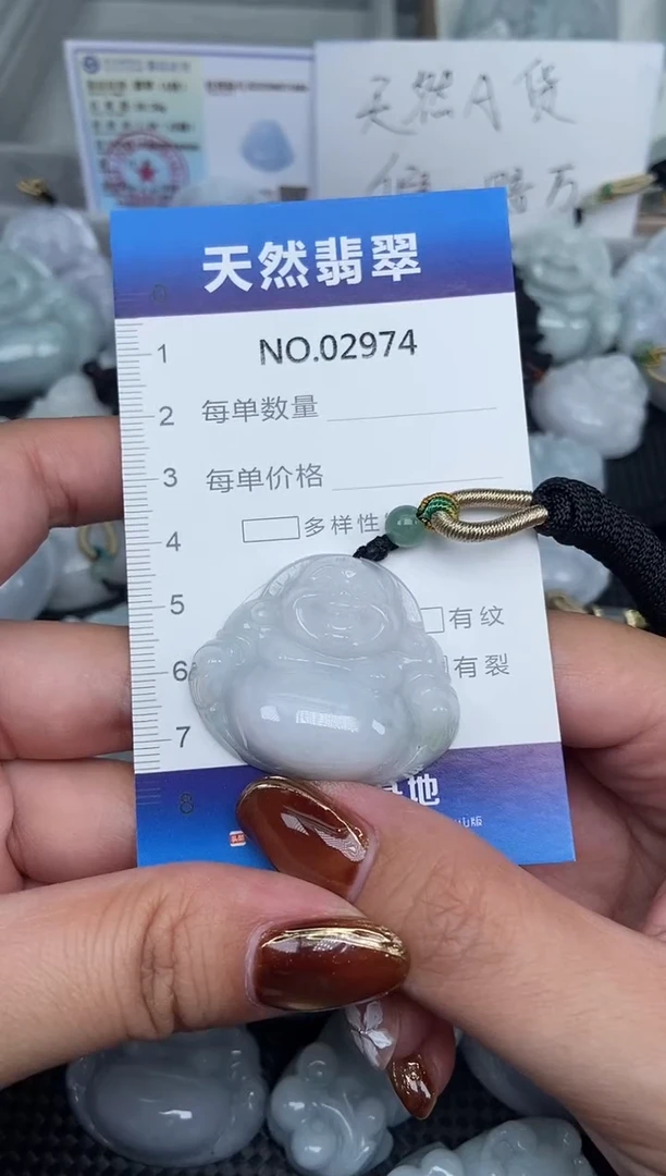 颈饰未镶嵌翡翠天然A货翡翠纯2974