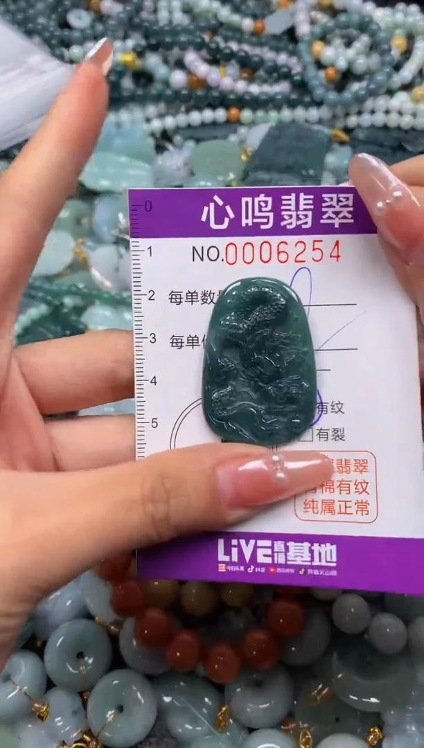 颈饰未镶嵌翡翠闪购006254