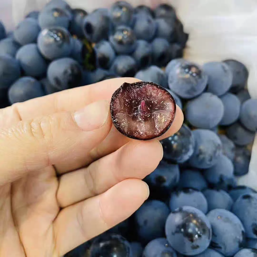 【达吾水果】精选高山蓝莓葡萄2串特惠尝鲜装2斤起(同城骑手配送到家)云南省