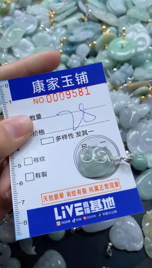 颈饰未镶嵌翡翠9581