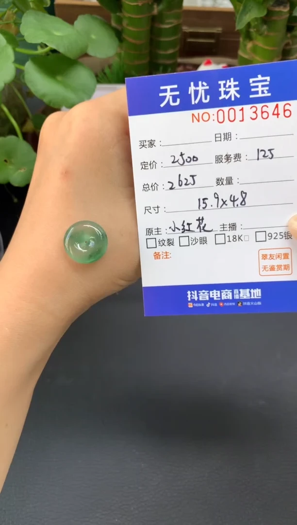 未镶嵌定制翡翠王****活A324