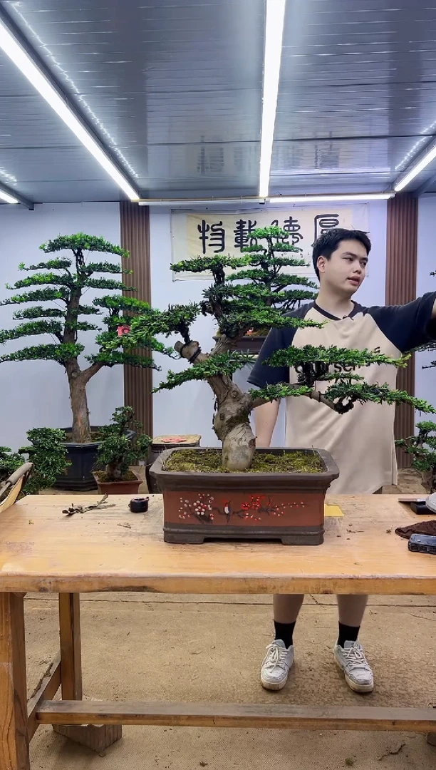 无花朵进**可000000000000000000000000000