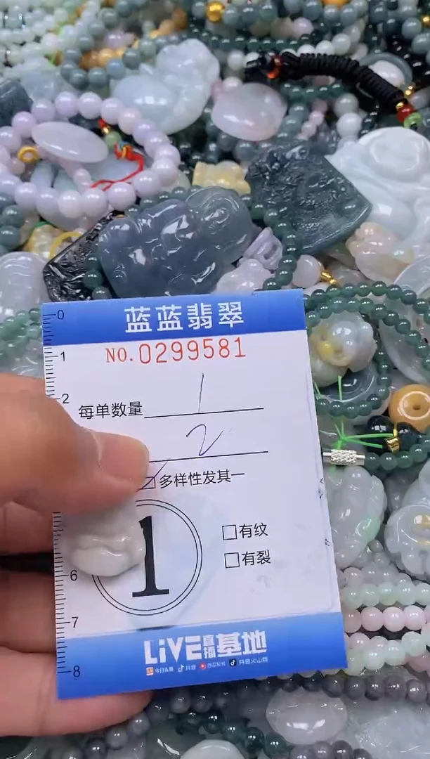 翡翠未镶嵌颈饰闪购0299581多样性发其一