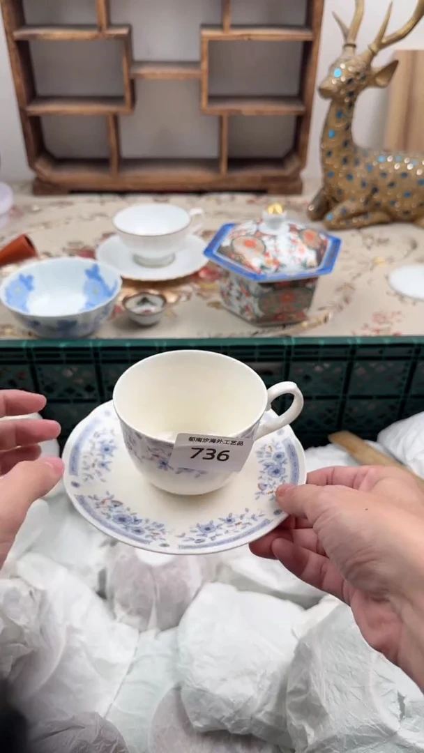 瓷片柏*A         736