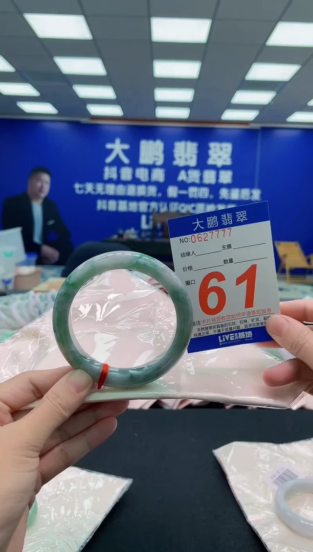 未镶嵌手镯翡翠AAAAAAAAA