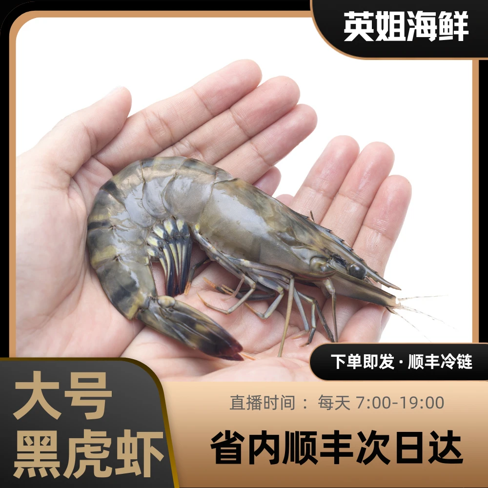 【年货节】大号黑虎虾速冻整只2斤装英姐海鲜